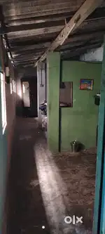 Office and company only