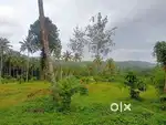 അമ്പലവയലിൽ പ്ലോട്ട് മുറിക്കാൻ പറ്റിയ 3.60 ഏക്കർ സ്ഥലം വിൽപ്പനയ്ക്ക്