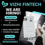 Vizhi Fintech consultancy pvt Ltd