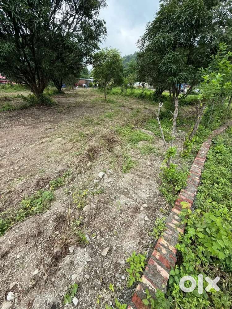 Nature view 2 side open plot available near Thano.