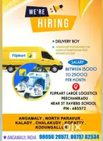NEEDED delivery executive for a company