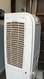 Cooler one year old