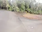 Man road side land 9.1 cent at Amalgiri 4.25 lakh/cent