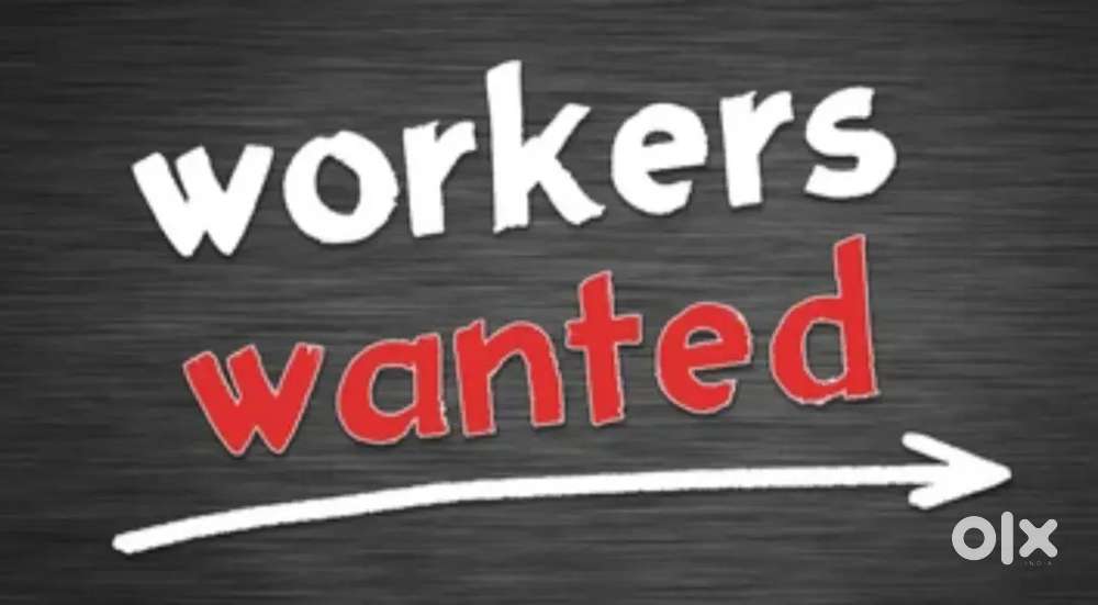 Workers Wanted - Family (Wife and Husband) / Cook / Warden
