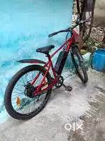 Electric cycle
