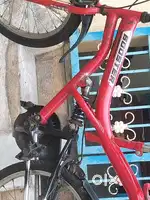 The booster bicycle