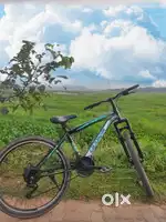 Leader cycle