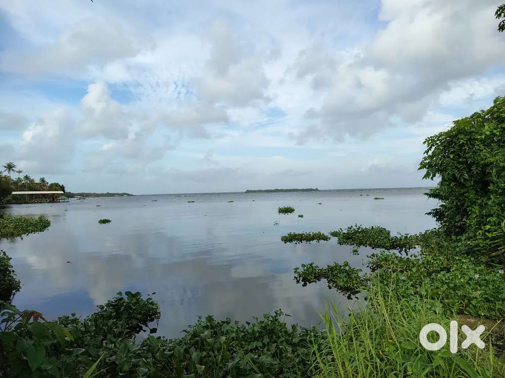 38 cents water frontage plot near Muhamma junction Alappuzha