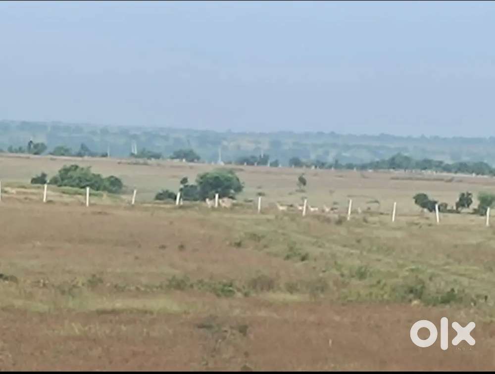 400 per sq.yd. Farm house, farmland, get away villas, Sangareddy dist.