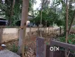 14 cents of land in koorkanchery