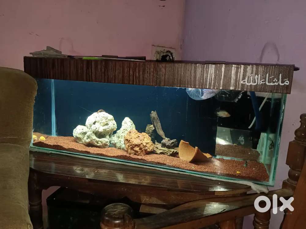 3 feet aquarium in best price