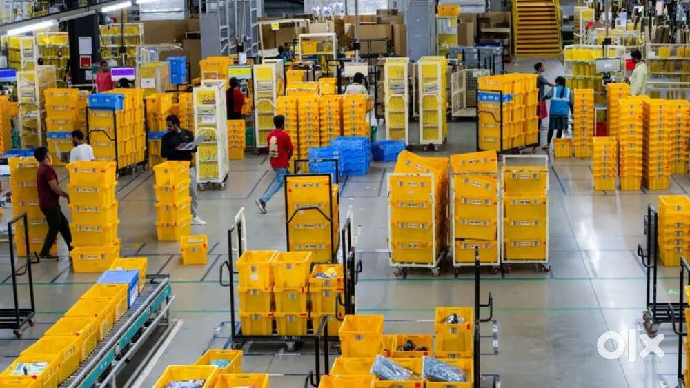 MEDICAL WAREHOUSE PACKING/HELPER/JOB IN WAREHOUSE IN LUCKNOW LOCATION.
