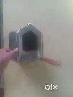 Bird and pegion nest