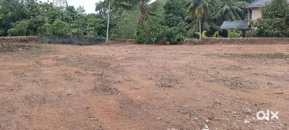 ചങ്ങനാശേരി, കുറുമ്പനാടം, സ്ഥലം വിൽപനക്ക്. Ph no. 99615    32196