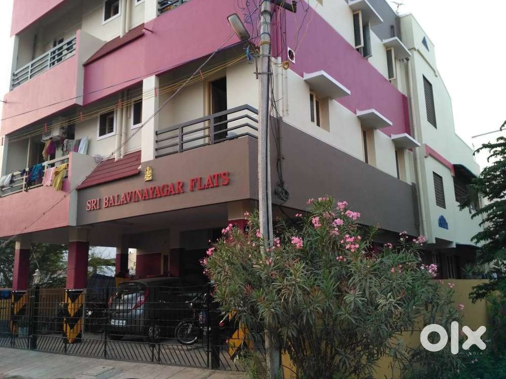 Near to Peace on Green Earth Public School and near to Main Road