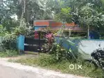 House and Property