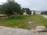 Plot available