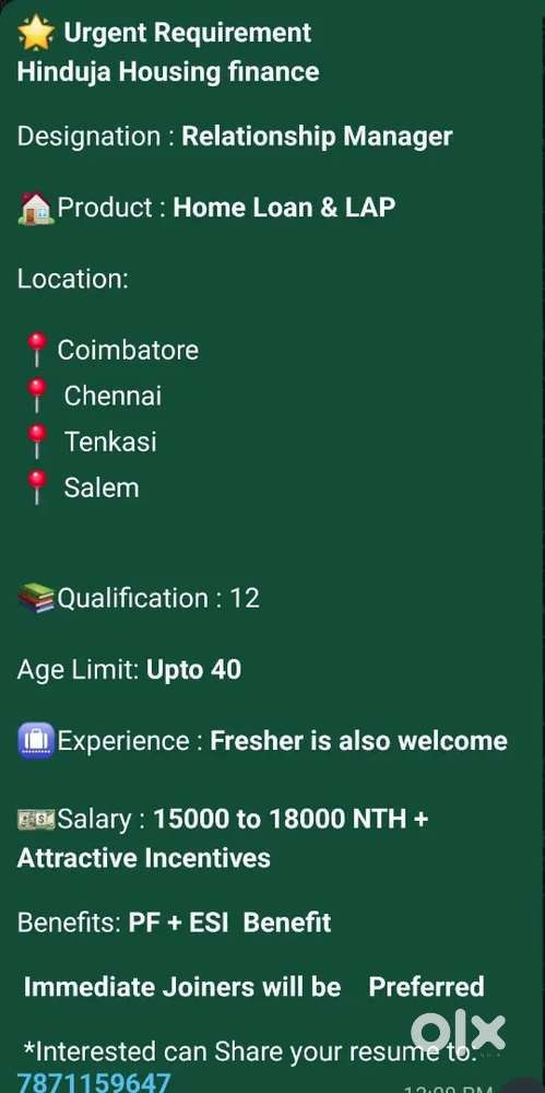 Sales Executive