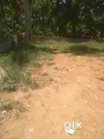 4 cent plot Anayara jn 1 km from main road