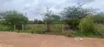 Farm House plot with big front