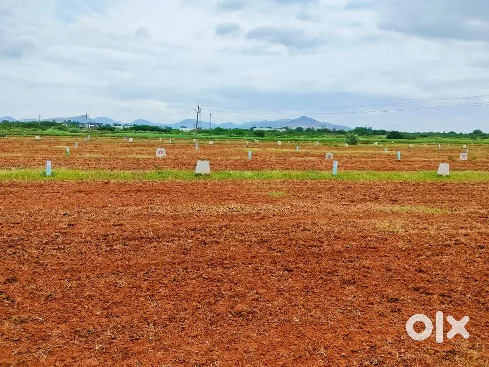 Open plots  for Sale towards Kandukuru Road, near SKU university