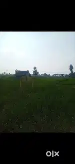 Patta residential plot-1380 sq ft for sale in tirumalpur