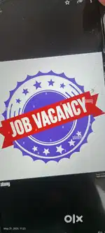 Fresher and Experience