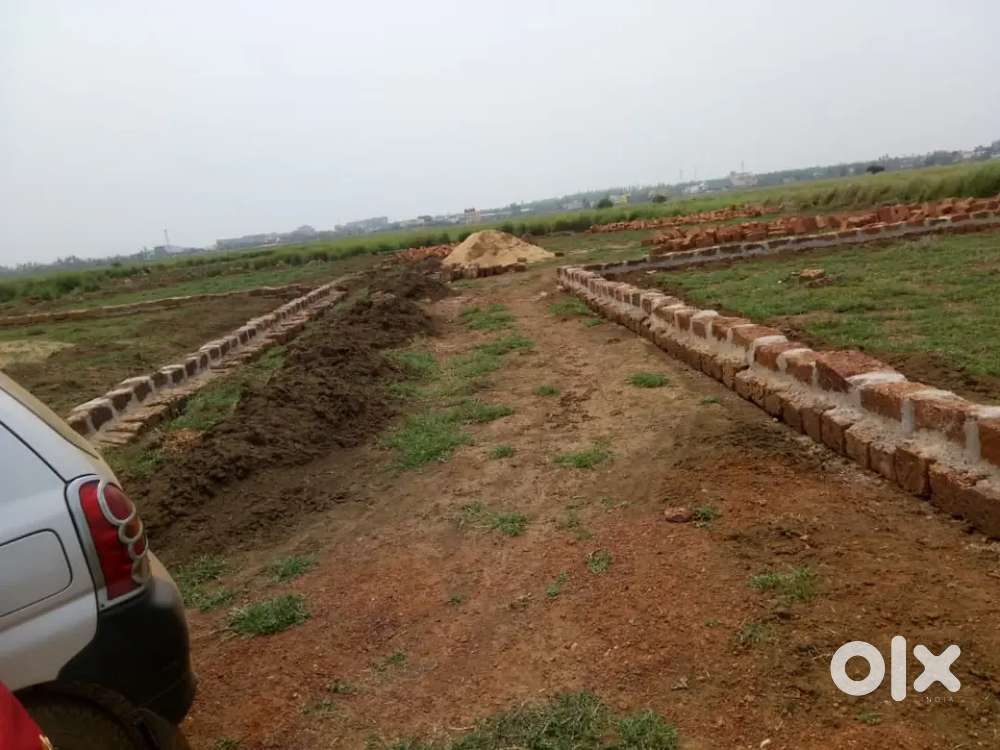 Xavier's university back side, OEC college opposite side