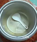 Electric Rice Cooker