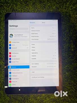 Apple Ipad