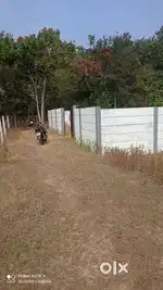 मोकळी जागा कंपाऊंड केले आहे.गेट 10फुटी आहे