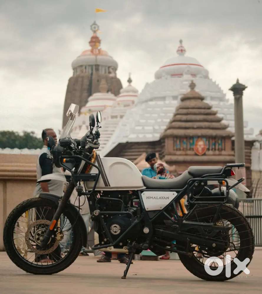 Himalayan in excellent condition