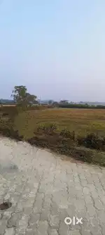 One Bigha land for sale near Khargaon Flyover , Kokrajhar