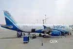 INDIGO JOBS NEW HIRING APPLY NOW. Indigo Airlines Job Opened @ CCE ,