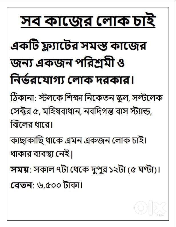 একটি ফ্ল্যাটের সমস্ত কাজের জন্য একজন পরিশ্রমী ও নির্ভরযোগ্য লোক দরকার