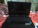 Hp laptop 1 year