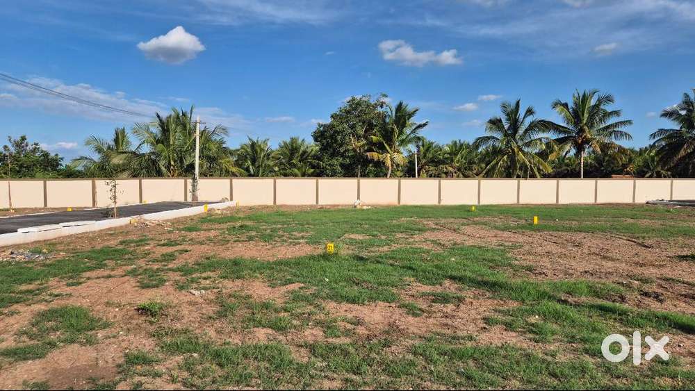 Minuts to Everything at Easa Garden