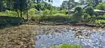 ONLY GENUINE BUYER CONTACT, LAND AT 10TH MILE JAGUN, TINSUKIA, ASSAM.