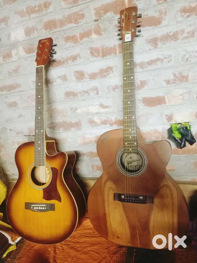 Guitar 2 pc Hertz & Signature Iike new