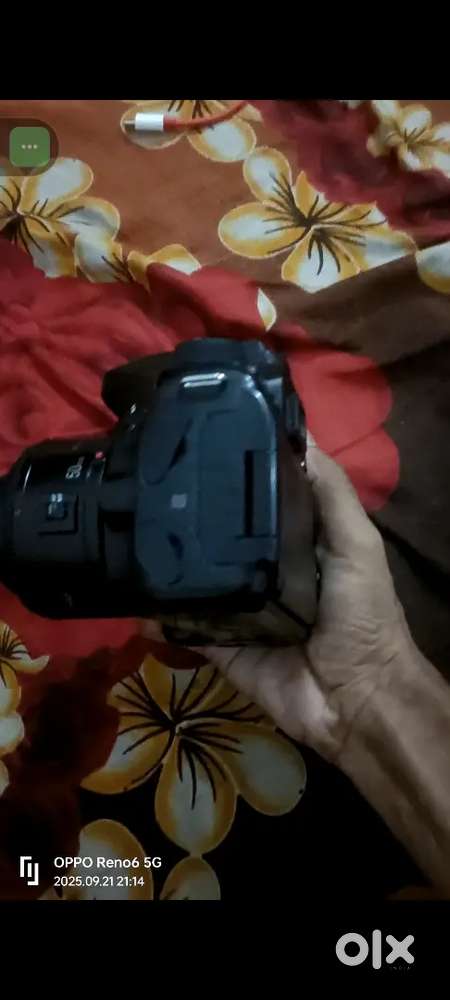 Canon EOS 80d, Nikon 5600d, 3500d, Canon 760d, Nikon 3200d