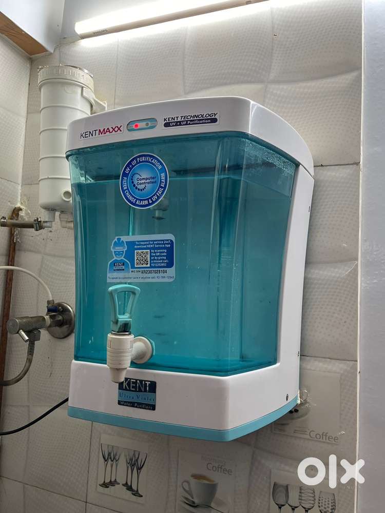 Kent maxx 15 months old