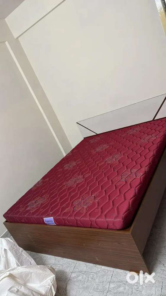 Solimo Tucana Engineered Wood Queen Bed (Brown – Walnut Finish)