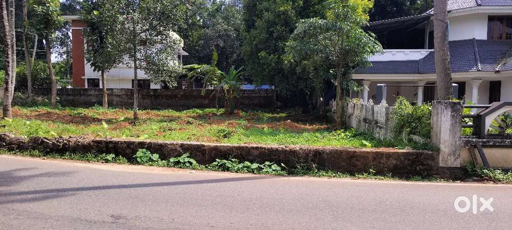 PRIME LOCATION 10 CENT LAND FOR SALE AT MOOKKANNOOR