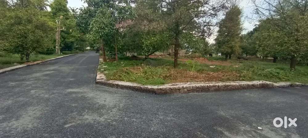 RESIDENTIAL PLOTS FOR SALE-  NEAR APPOLLO HOSPITAL ANGAMALY