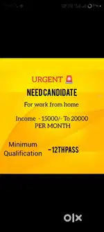 Work from home (part time/ full time)