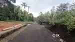 ANGAMALY LAND MATE PROPERTIES 5,7, 10, CENT PLOTS AVAILABLE
