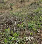Land for sale near Mahindra showroom kohima