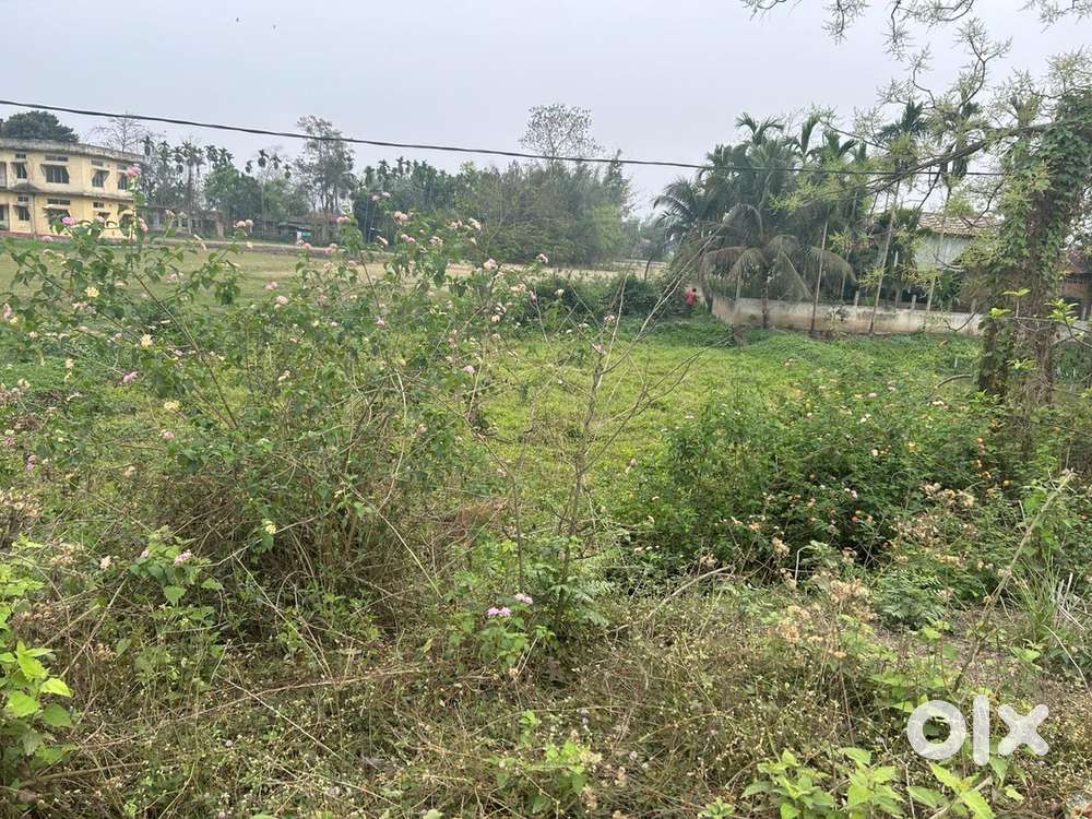 Thekeraguri Ahatguri, Nagaon Guwahati NH 37