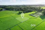 5 bigha land for sale in indore ujjain road near sanwer