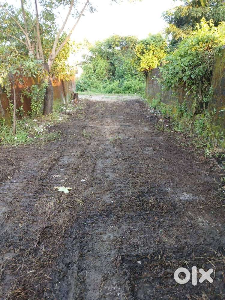 Commercial Land for Rent in Kochi 12 cent